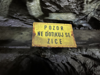 image00019